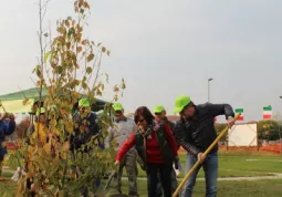 Festa dell'albero 2017